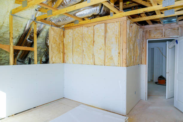 Best Eco-Friendly Insulation in Weston, FL