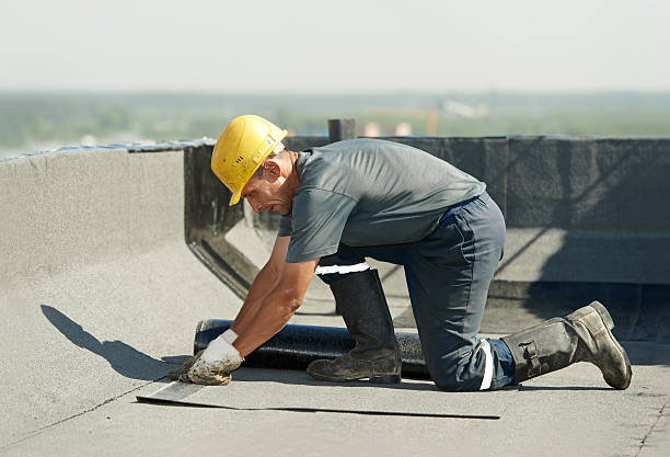 Best Cellulose Insulation in Weston, FL