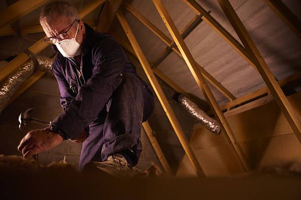 Types of Insulation We Offer in Weston, FL